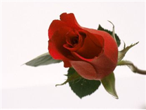 Tia665's profile picture. 