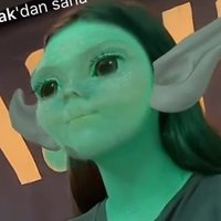 Crypto Elfi (@cryptoelfi) 's Twitter Profile