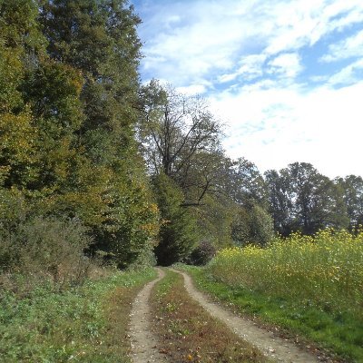 _nawww_'s profile picture. Na www:
https://t.co/j3Qs9ynt30,
https://t.co/yVF7PKfLPY |
Opazujem naravo.
Premlevam besedje. |
@Botanika280 |
#Valvasor
#Drainspotting
#FormaViva (fan)