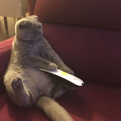 wedat_okm's profile picture. 