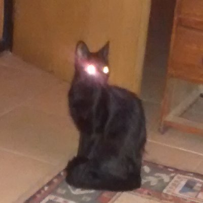 Otinni_koasd's profile picture. O que é que você vai fazer?