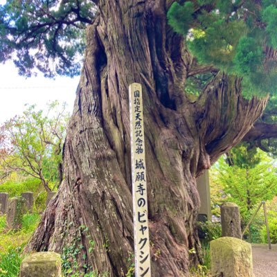 あれなんさんのプロフィール画像