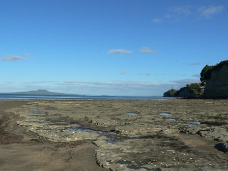 Ray White Browns Bay Real Estate  – Offering homes for sale throughout Browns Bay, Torbay, surrounding suburbs and the greater Auckland, New Zealand.