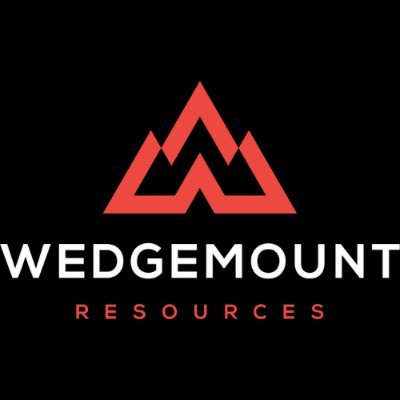 Dual listed, low cost, growth focused oil & gas producer in the Permian Basin of West Central Texas. (CSE: $WDGY, OTCQB: $WDGRF) #oil #oilandgas #energy