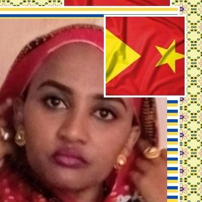 AyshaMohammed2's profile picture. 