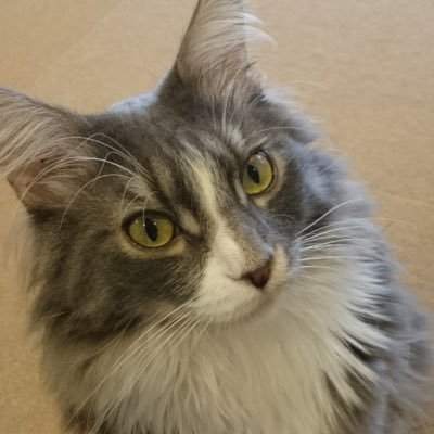 maro0707's profile picture. 