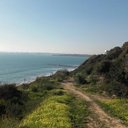 Rafael Foley - @Cosmedamian - Twitter