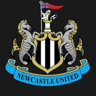 love the toon NUFC massive F1 fan