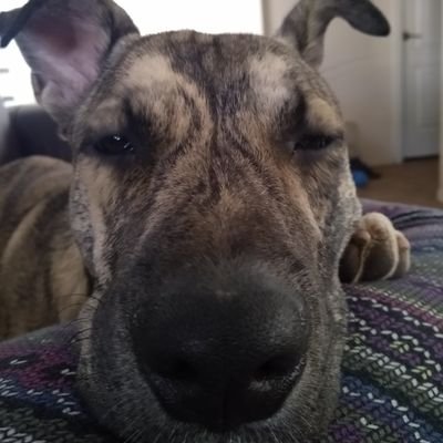 TowDayna's profile picture. forgiveness