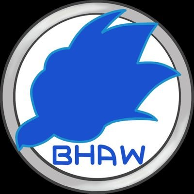 BlueHawk Audio Works