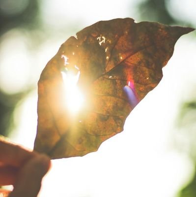 AAAlpor's profile picture. SON'suz BOŞLUK'ta BOĞULMUŞ..