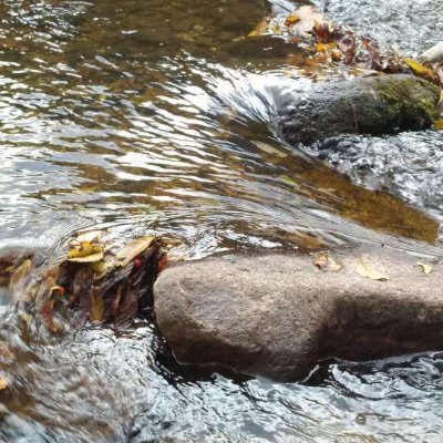 zhang666ping's profile picture. 