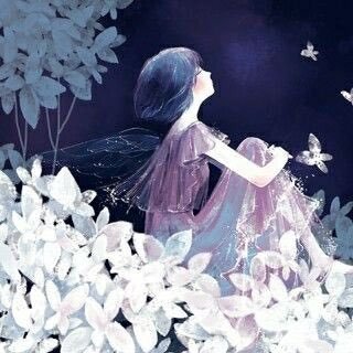 @Veli41376528