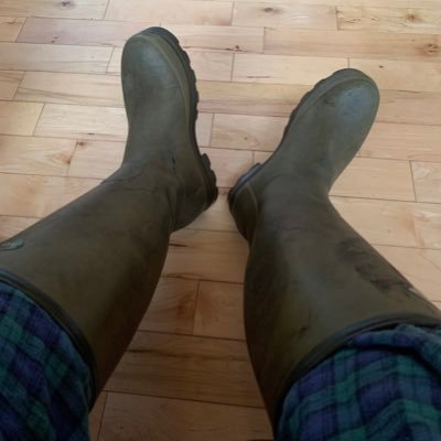 metalicatom93's profile picture. 