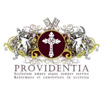 Perfil oficial de la Asociación Privada de Fieles Providentia, nacida en el año 2003. “Amar y servir a la Iglesia, convertir y reformar dentro de la Iglesia”