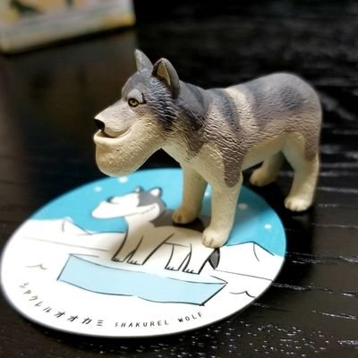 泥さんのプロフィール画像