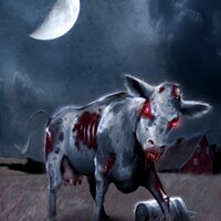 Killercow (@killercow) 's Twitter Profile