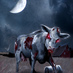 Killercow (@killercow) Twitter profile photo Killercow (@killercow) Twitter profile photo