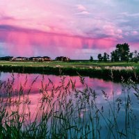 Archan Patel (@apatel2108) 's Twitter Profile