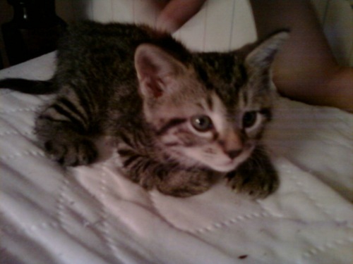 karanewcastle's profile picture. 