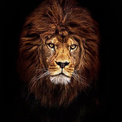 DP28up2bro's profile picture. pubg