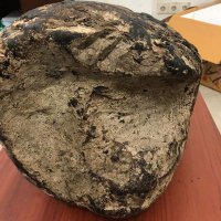 عنبر الحوت (@00z2u9kpjerv909) Twitter profile photo