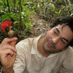 Avian Ecologist. National Geographic Explorer. Assistant Professor Cal State Long Beach