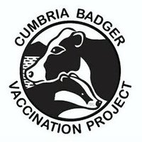 Cumbria Badger Vaccination Project(@CumbriaBVP) 's Twitter Profile Photo