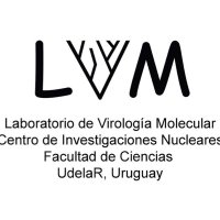 Virología Molecular (@viromol) 's Twitter Profile Photo Virología Molecular (@viromol) 's Twitter Profile Photo
