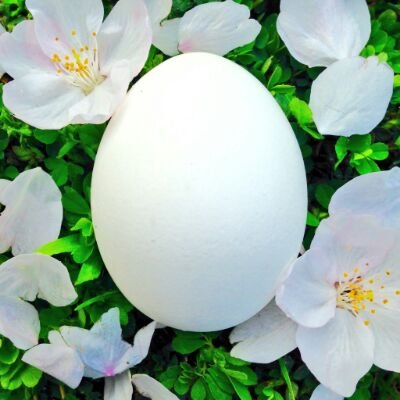 0rei0rain0's profile picture. 