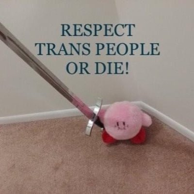 steflmnopq's profile picture. 