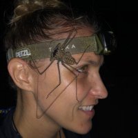 Becky Schnekser (@schnekser) 's Twitter Profile
