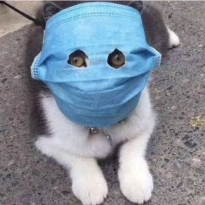 RAlvareztapia's profile picture. 