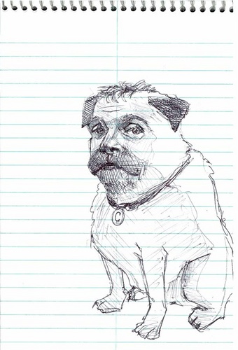 MMagsaysay's profile picture. 