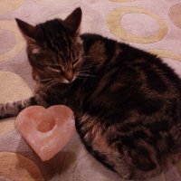 Boot Camp Revolution (@bootrevolution) 's Twitter Profile