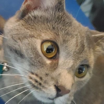 Quicklift2's profile picture. 