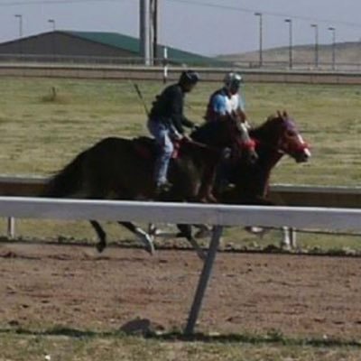 A non-profit located in Cheyenne, WY. Retrains retired racehorses for their next career using classical dressage.