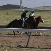 Center for Racehorse Retraining (@crrwyoming) 's Twitter Profile