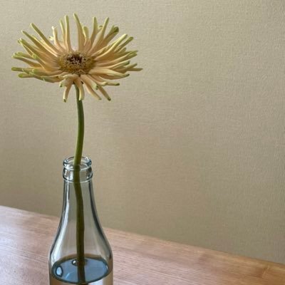 RyoM2a0t2u1's profile picture. 30代/作業療法士/リハビリテーション