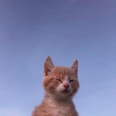 kardelenkilinc2's profile picture. 