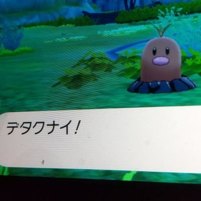 chuu2015's profile picture. 天下一将棋の由来は、ポケモンソウルシルバーやっていたのでそのまま、『シルバー』にしました。ポケモン、TCG、エクバやってます。