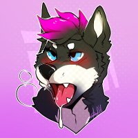 freaky mf dog 🔜 LVFC (@backshotsdog) 's Twitter Profile