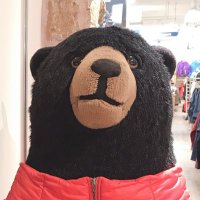 めぐさん (@megusan1108) 's Twitter Profile