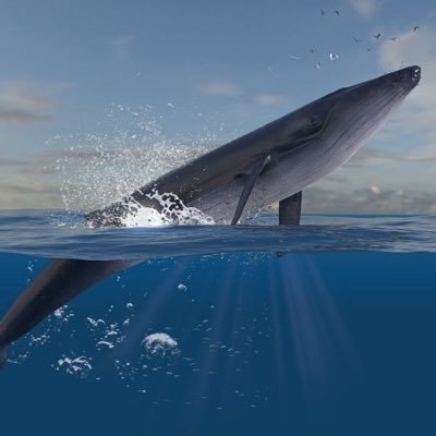 gian588's profile picture. Midwest USA