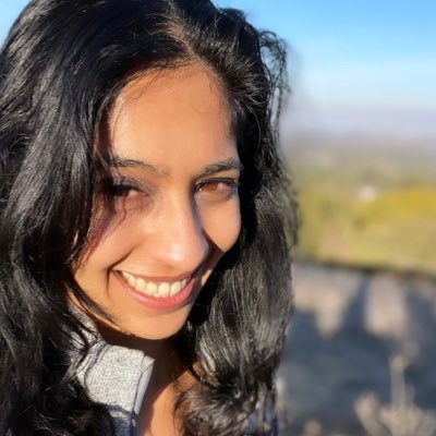 Product, Applied ML, memes 🤪
Cofounder, maintainer of open source @sdv_dev
Formerly: PM @Google, AI researcher @MIT