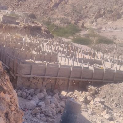 mosaaletwany's profile picture. منشي محتوى