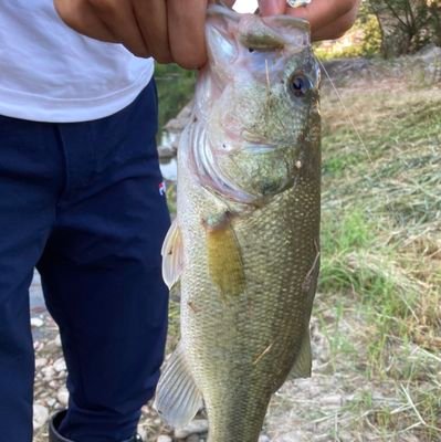 香川県在住。府中湖などでバス釣りしてます🙆釣り歴はもうすぐ2年🔰 めざせ、ロクマル(とりあえず、ゴーマルから💦)