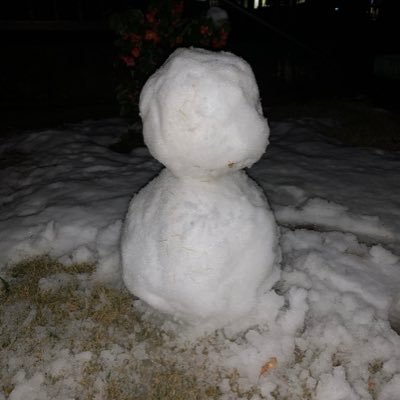 jmq_t1's profile picture. 無言フォロー失礼します。