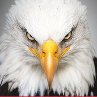 MtnMan 🇺🇸Retired☆Soldier🇺🇸 (@mtnmanmt6) 's Twitter Profile Photo MtnMan 🇺🇸Retired☆Soldier🇺🇸 (@mtnmanmt6) 's Twitter Profile Photo
