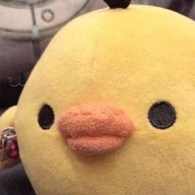primꔛさんのプロフィール画像